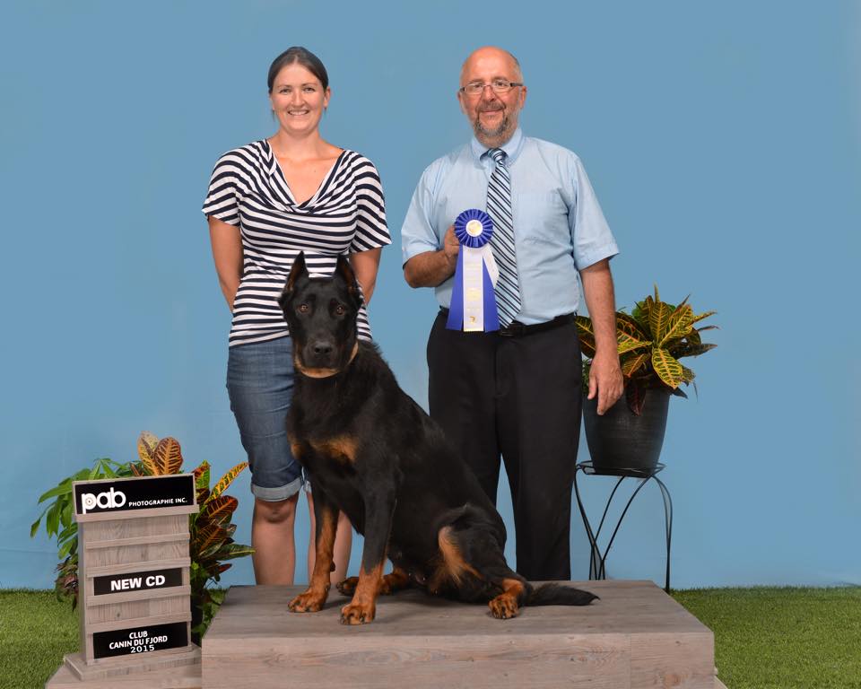 beauceron